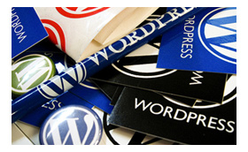 Wordpress Website Developers/ Wordpress Web Design India