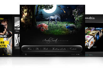flash website design  kanpur delhi